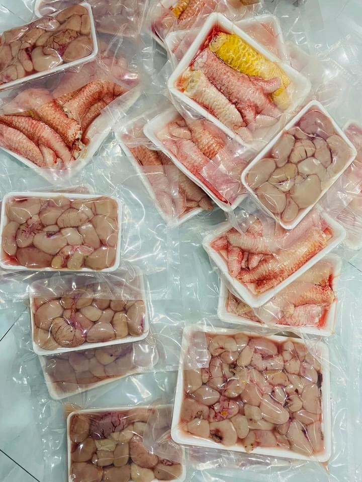 Kê gà đông tảo